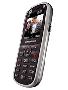 Best available price of Motorola WX288 in China